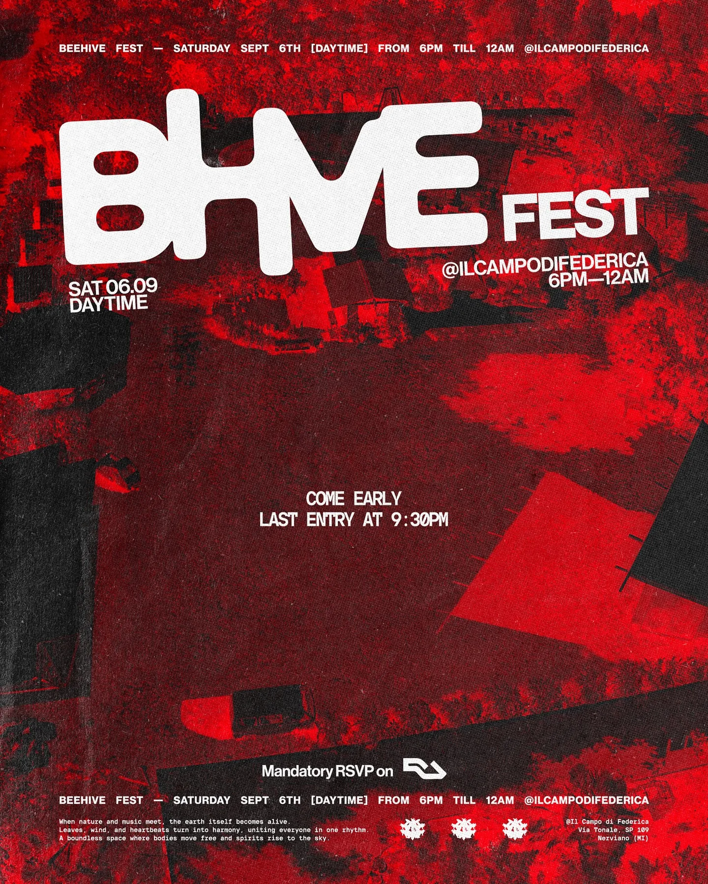 Hive Comeback photo 17